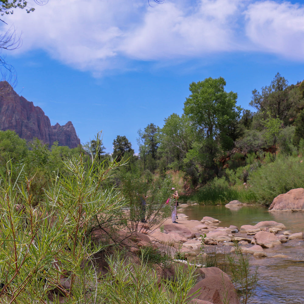 Zion National Park
