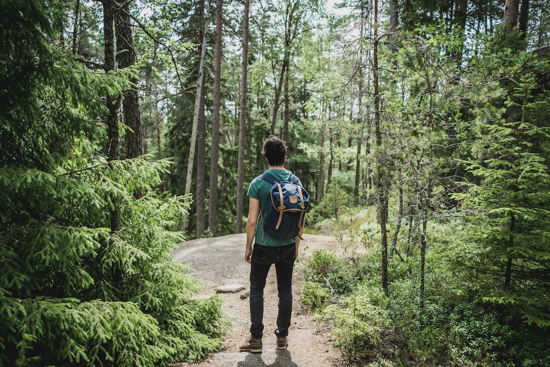 forest hiking