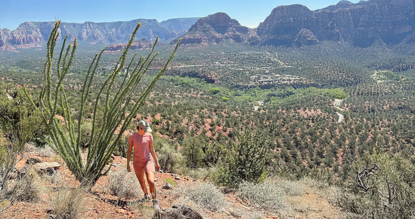Person standing on a rocky outcrop with a scenic desert landscape in the background